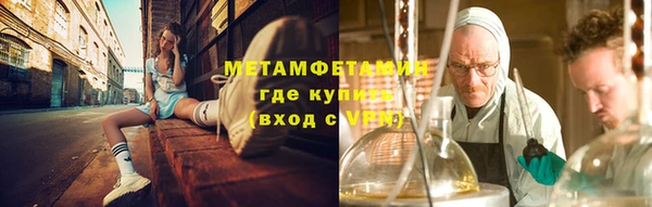шишки Белокуриха