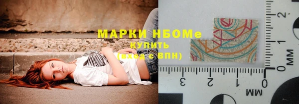 шишки Белокуриха