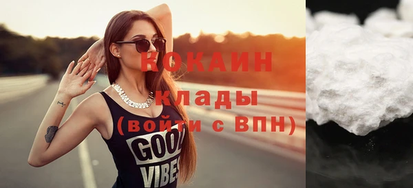 гидра Бронницы