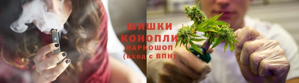 гидра Бронницы