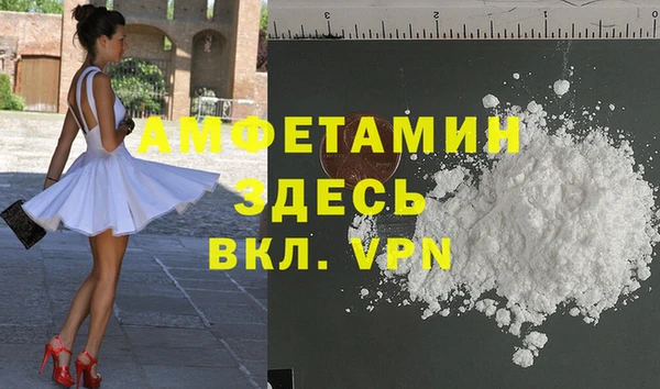 шишки Белокуриха