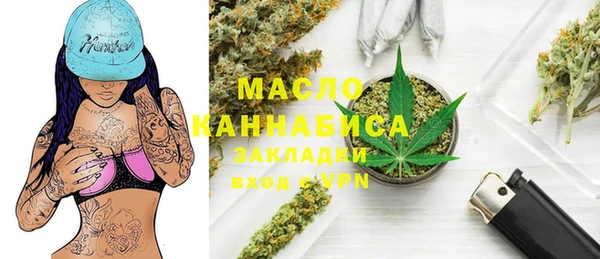шишки Белокуриха