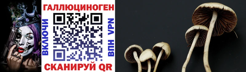 Галлюциногенные грибы MAGIC MUSHROOMS  Балабаново 